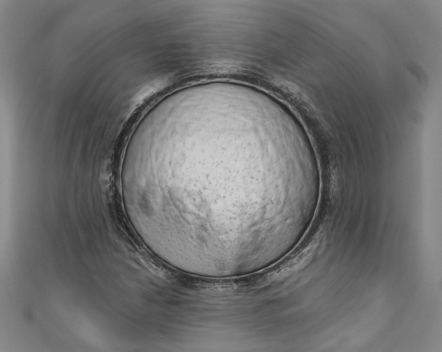 X0000110861210200907021409