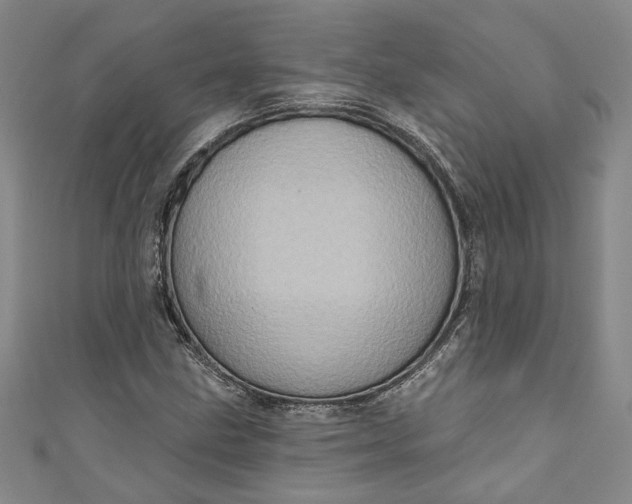 X0000110861211200907021409