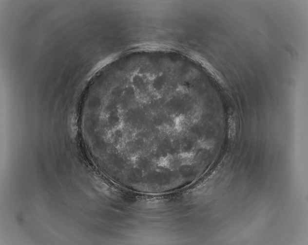 X0000110861213200907021409