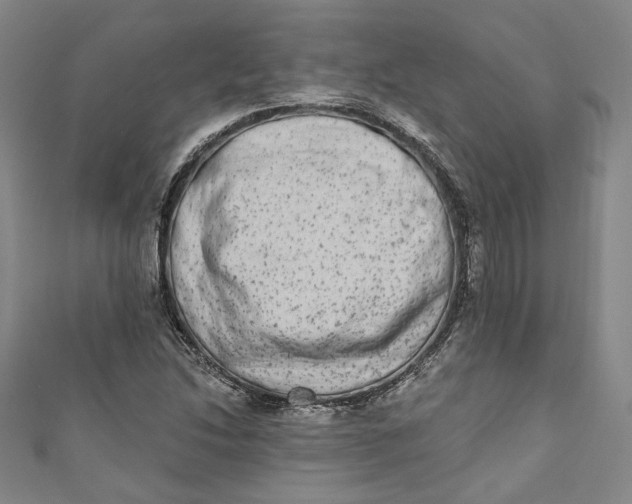 X0000110861214200907021409