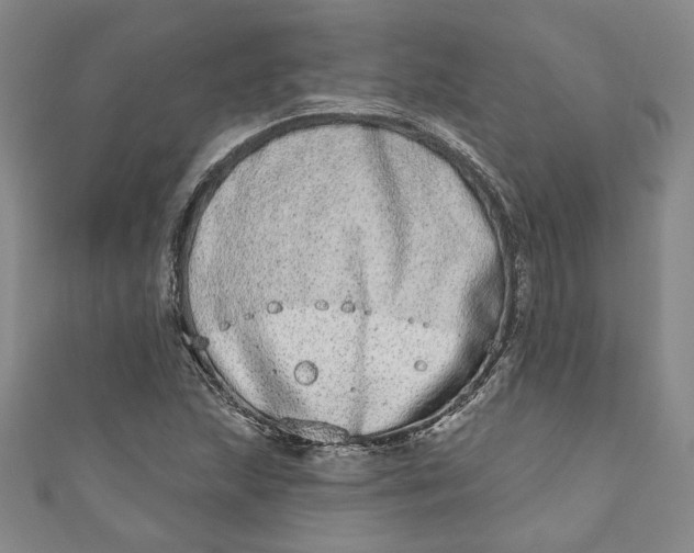 X0000110861215200907021409