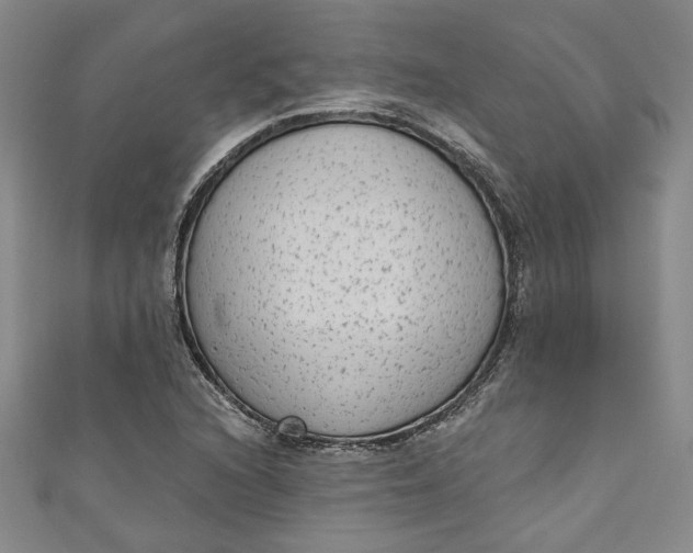 X0000110861216200907021409