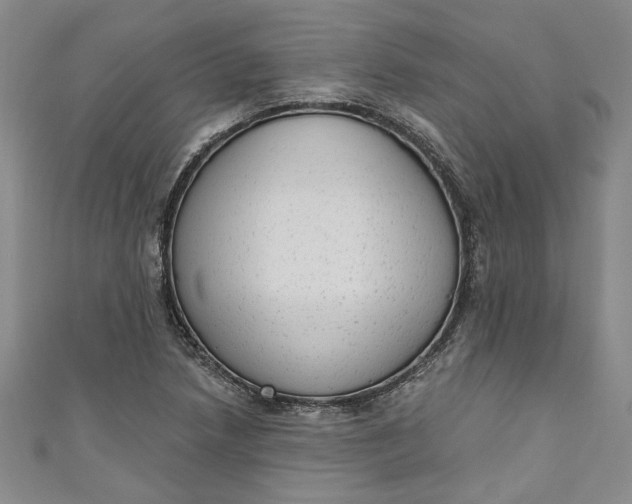 X0000110861218200907021409