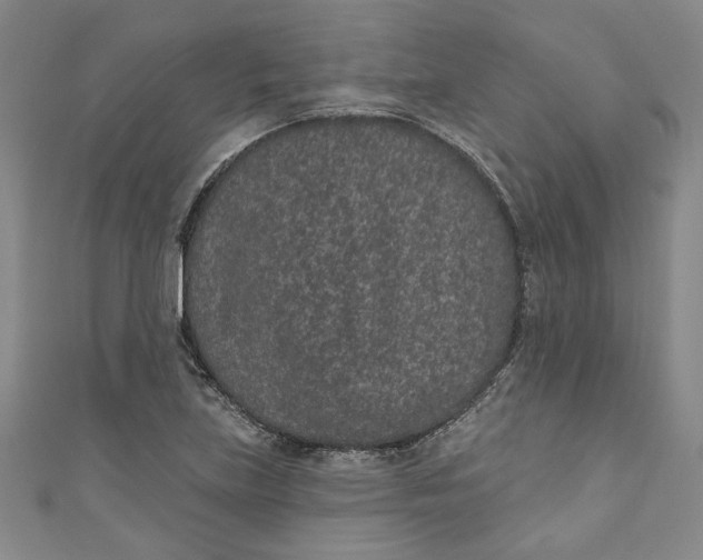 X0000110861219200907021409