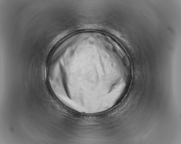 X0000110861221200907021409