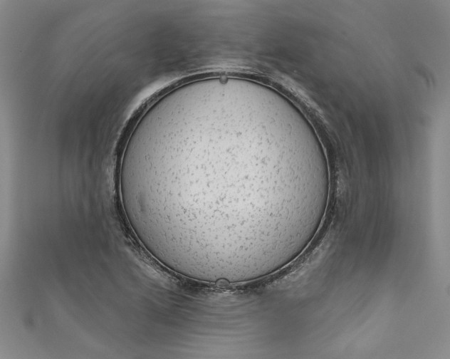 X0000110861222200907021409