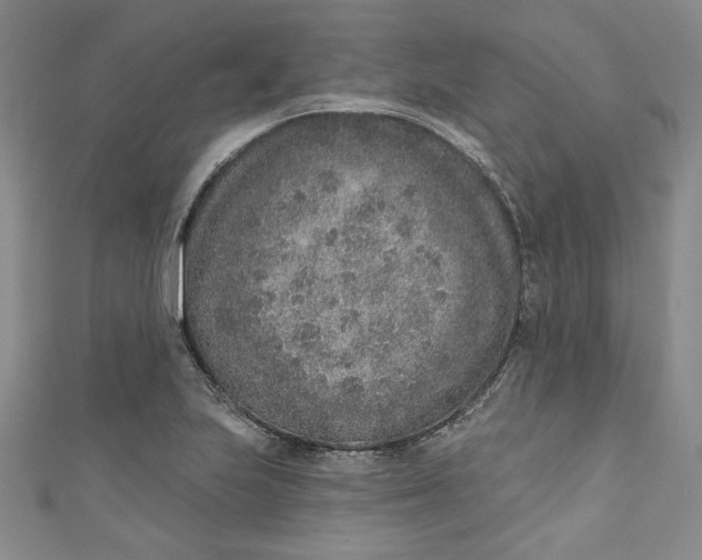 X0000110861223200907021409