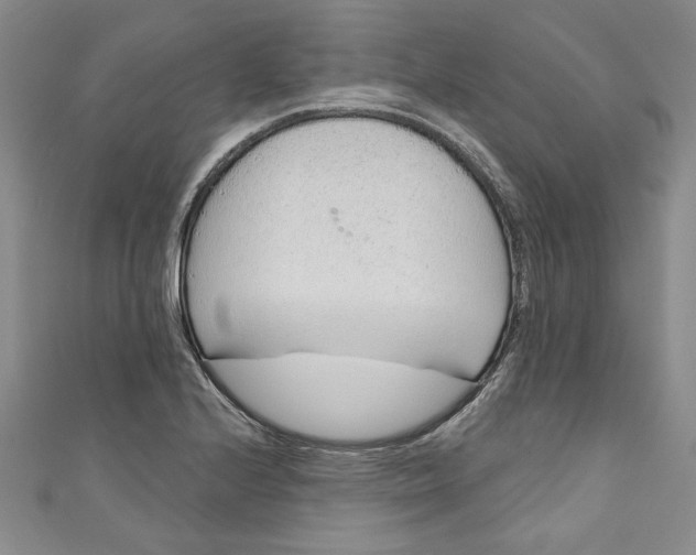 X0000110861224200907021409