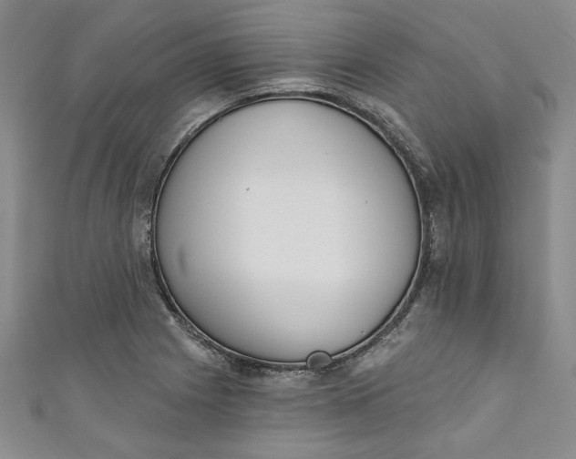 X0000110861225200907021409