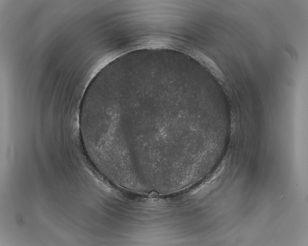 X0000110861226200907021409