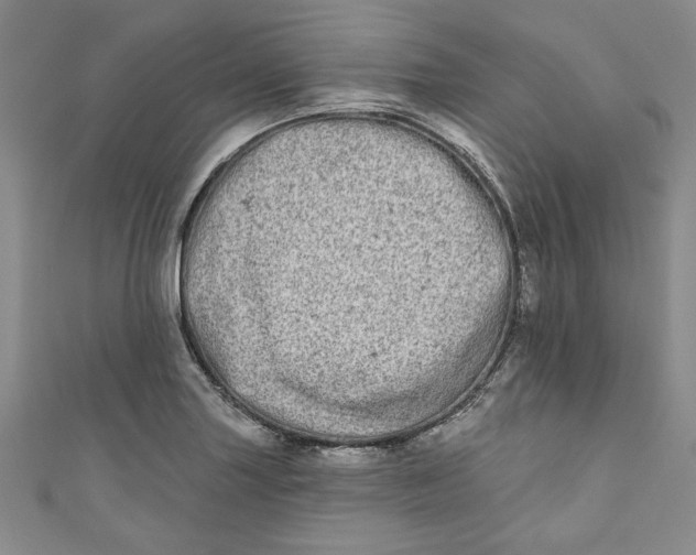 X0000110861227200907021409