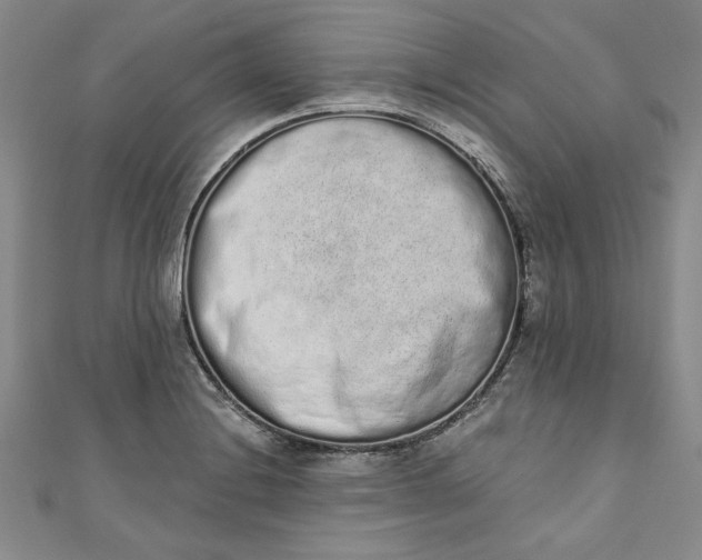 X0000110861228200907021409