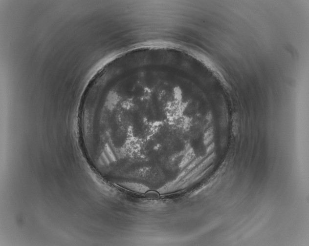 X0000110861229200907021409