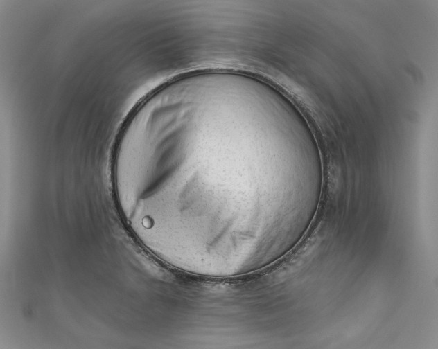 X0000110861230200907021409