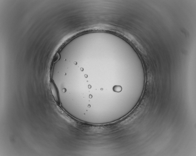 X0000110861232200907021409