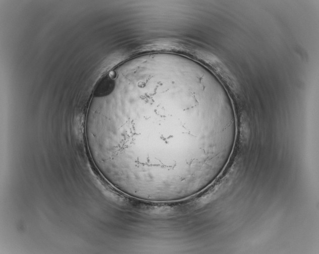 X0000110861233200907021409