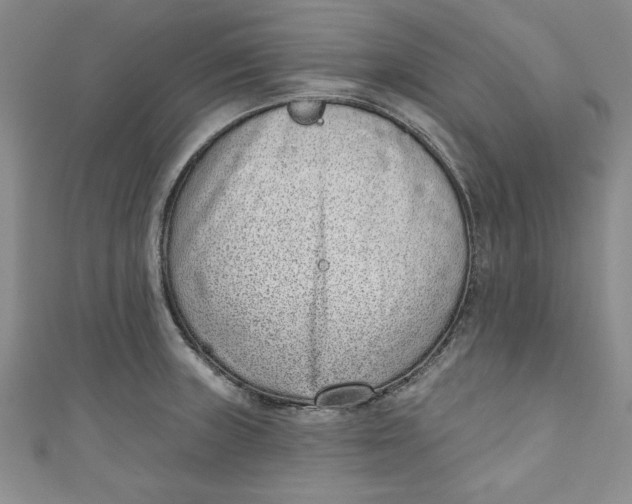 X0000110861235200907021409