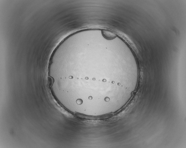 X0000110861236200907021409