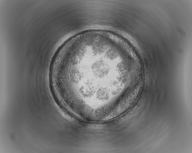 X0000110861237200907021409