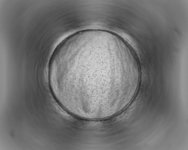 X0000110861238200907021409