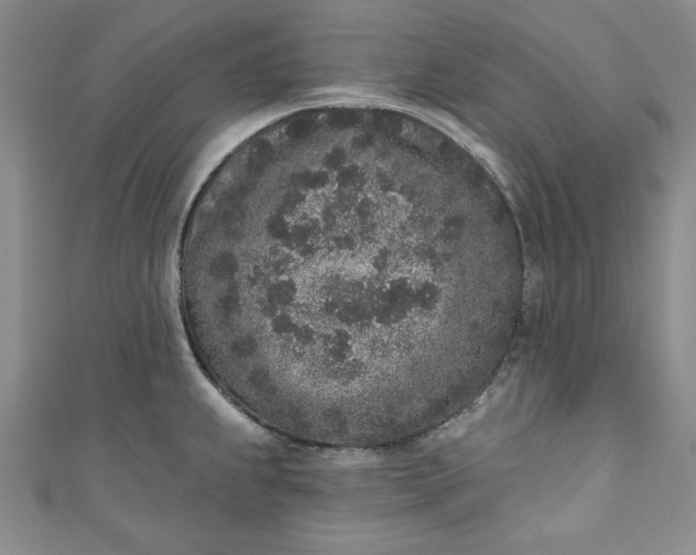 X0000110861239200907021409