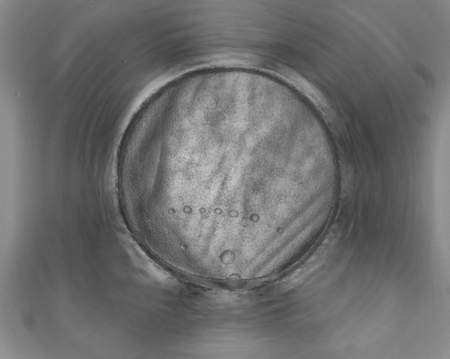 X0000110861240200907021409