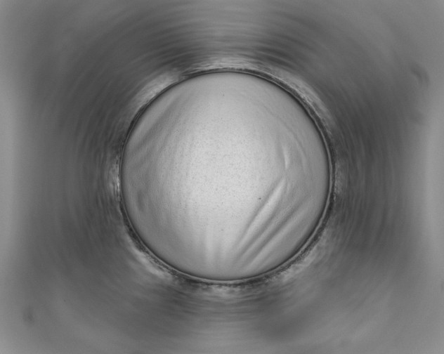 X0000110861241200907021409