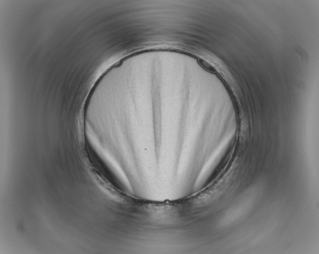 X0000110861242200907021409