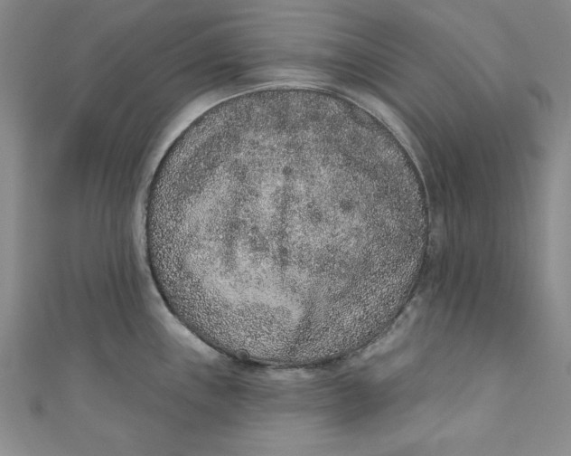 X0000110861243200907021409