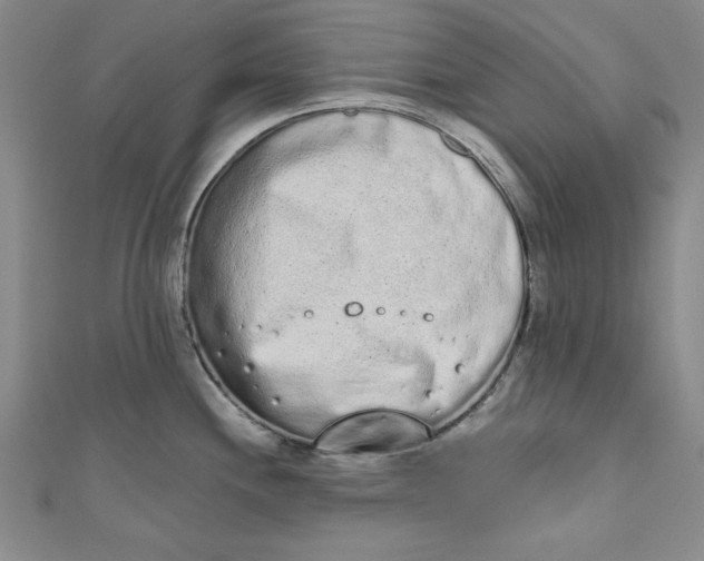 X0000110861244200907021409