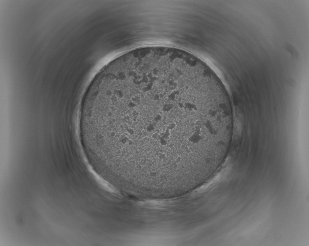 X0000110861245200907021409