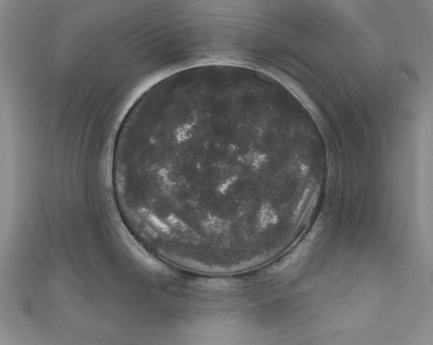 X0000110861246200907021409