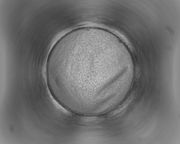 X0000110861247200907021409