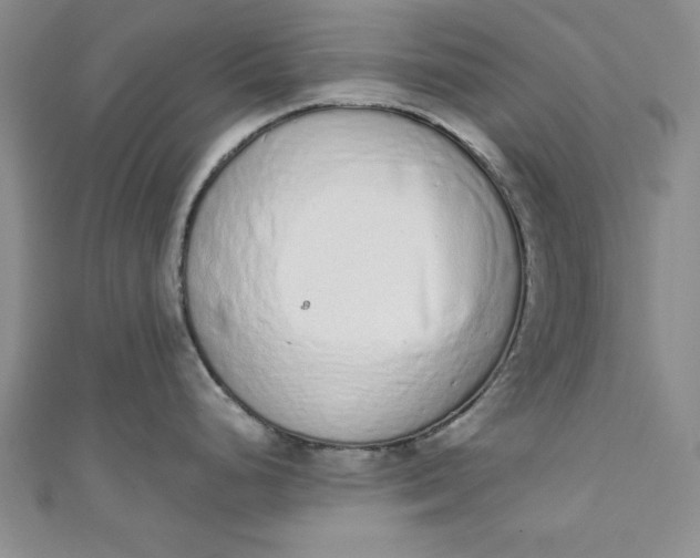 X0000110861248200907021409