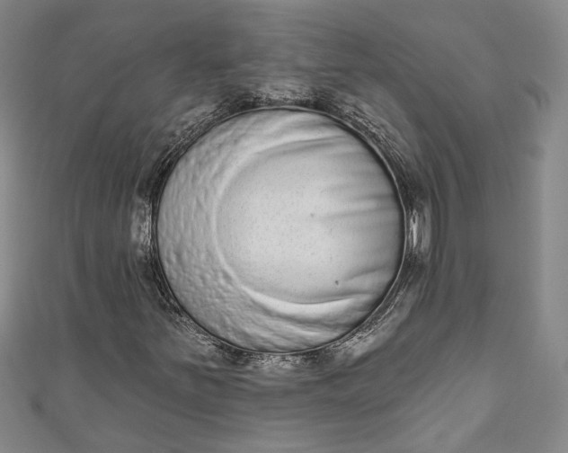 X0000110861251200907021408