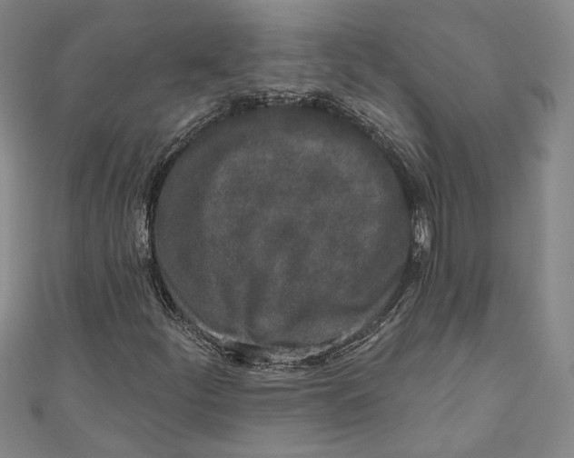 X0000110861252200907021408