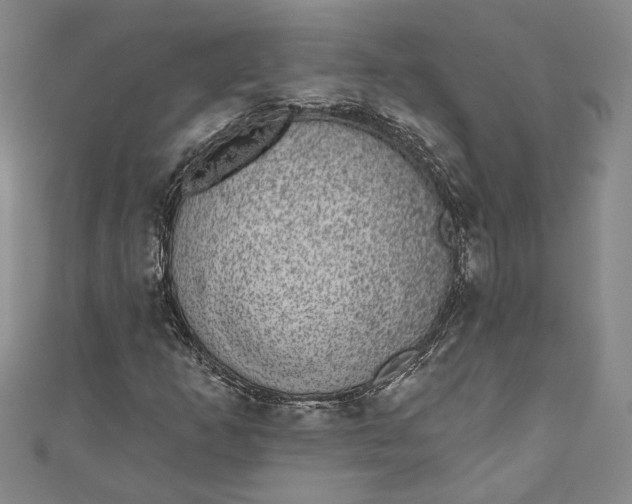 X0000110861253200907021408