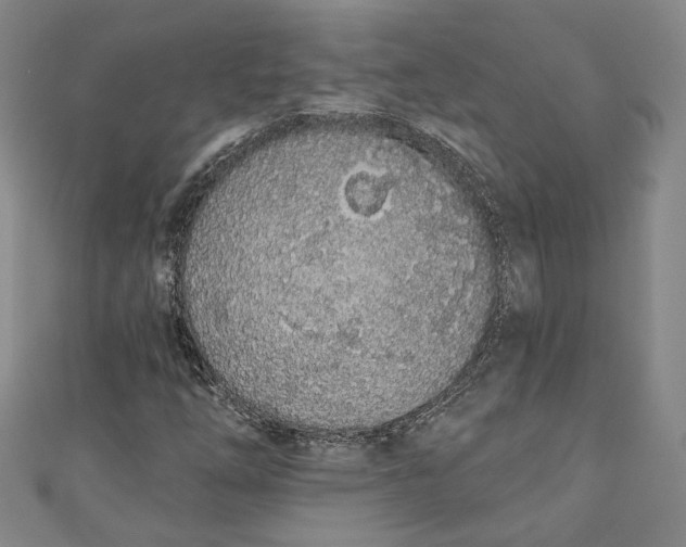 X0000110861254200907021408