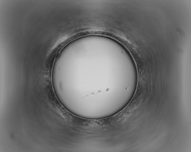 X0000110861255200907021408