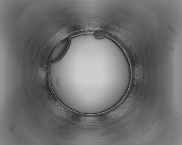 X0000110861257200907021408