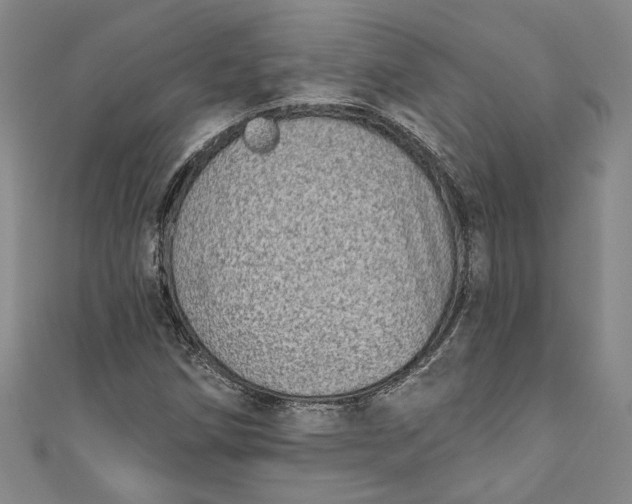 X0000110861258200907021408