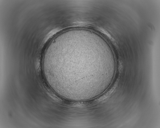 X0000110861259200907021408