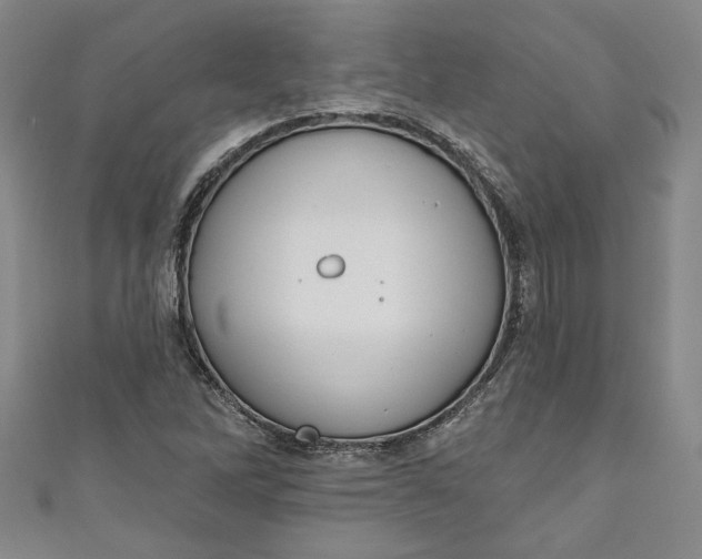 X0000110861262200907021408