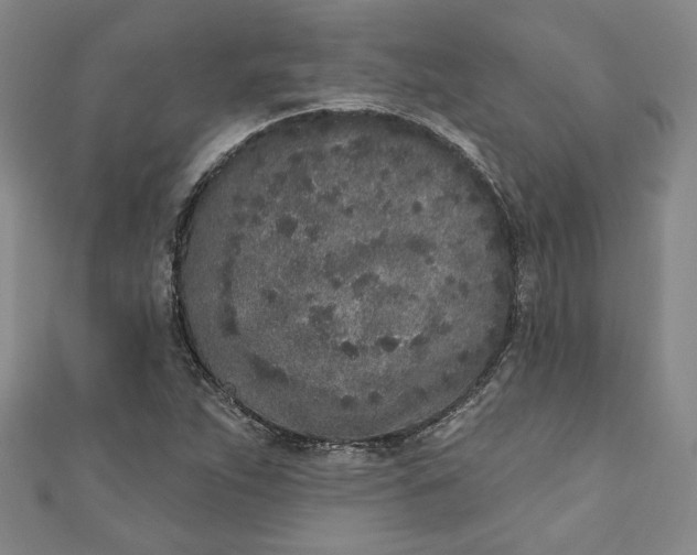 X0000110861263200907021408