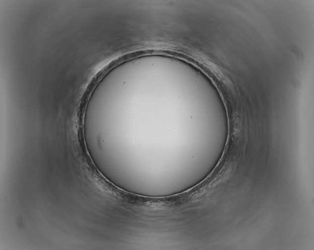 X0000110861264200907021408