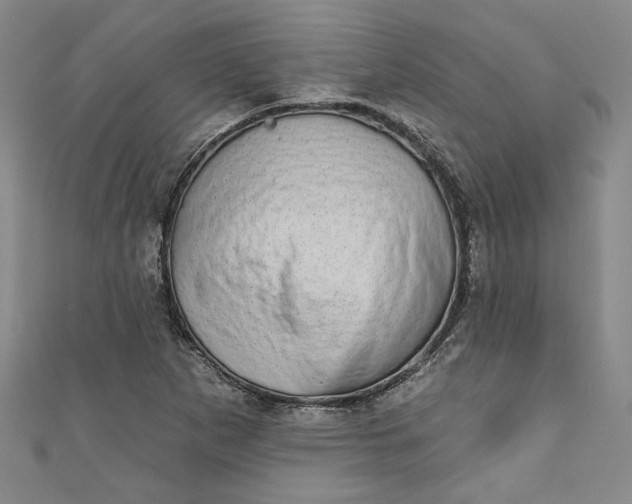 X0000110861265200907021408