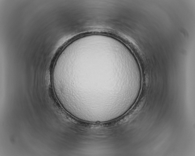 X0000110861267200907021408