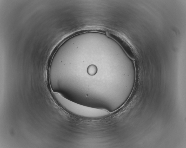 X0000110861268200907021408