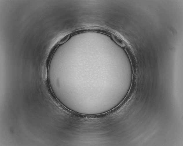 X0000110861269200907021408