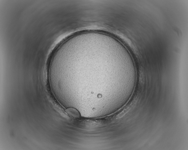 X0000110861270200907021408